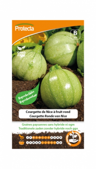 Courgette Ronde van Nice? PRO310