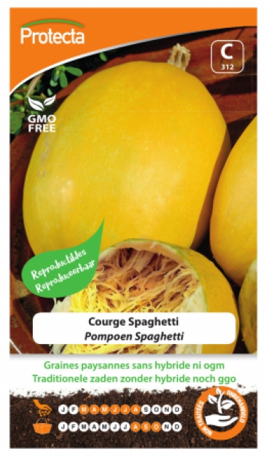 Courge Spaghetti