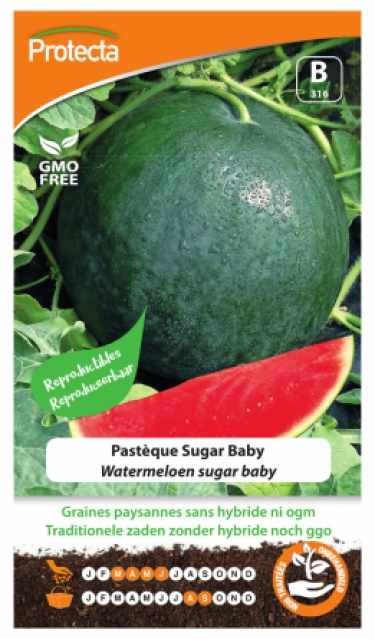 Watermeloen sugar baby PRO316