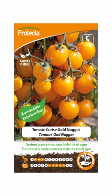 Tomate Cerise Gold Nugget
