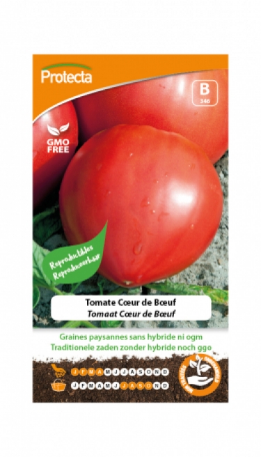 Tomate Cœur de Bœuf PRO346