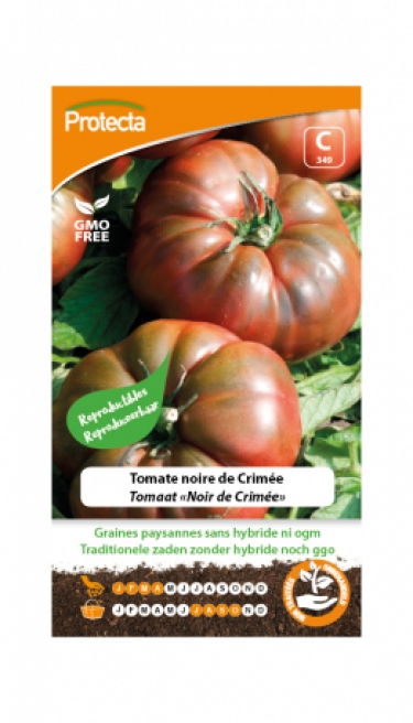 Tomate noire de CrimÃ©e pro349