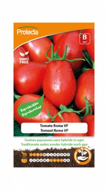 Tomate Roma VF PRO351