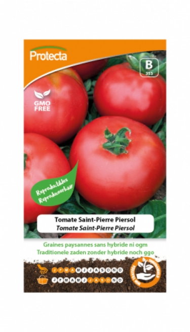 Tomate Saint-Pierre Piersol PRO353