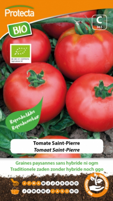 Tomate Saint-Pierre PRO365