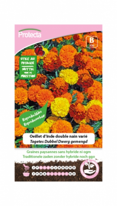 Tagetes Dubbel Dwerg gemengd PRO520