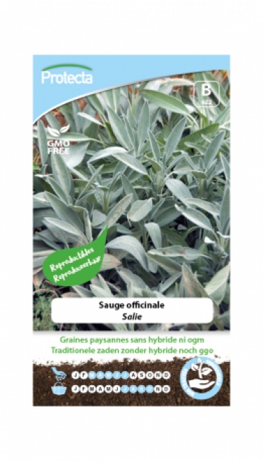 Salie? PRO622