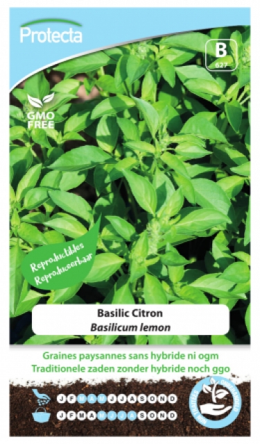Basilicum lemon PRO627