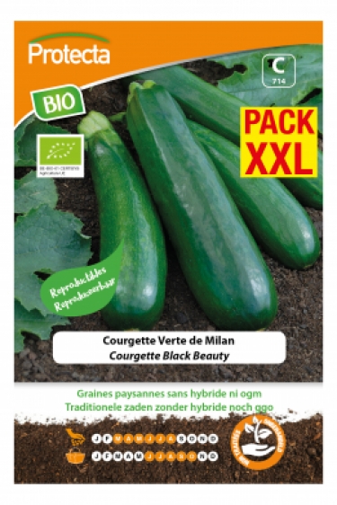 XXL BIO Courgette Black Beauty PRO714